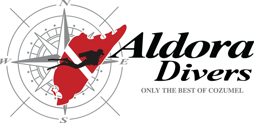 Aldora_Divers_Title_Logo_2023.png
