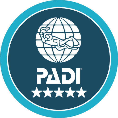padi idc centre icon.png