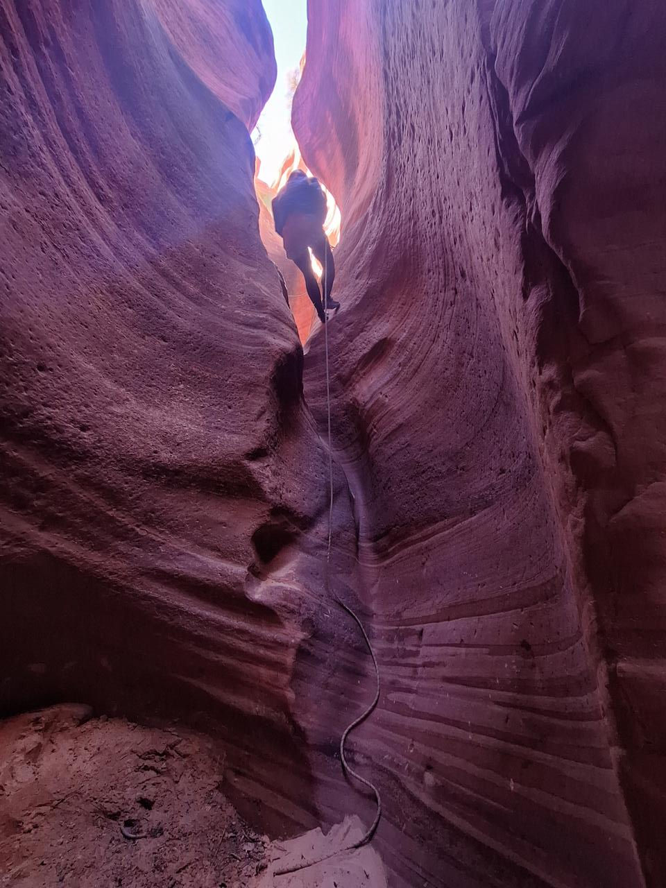 Rappelling in Ladder Canyon