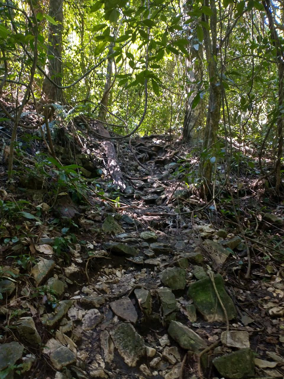 Unrestored Mayan ruins