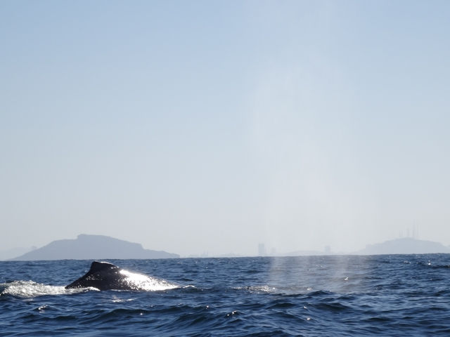 Blowing and surfacing