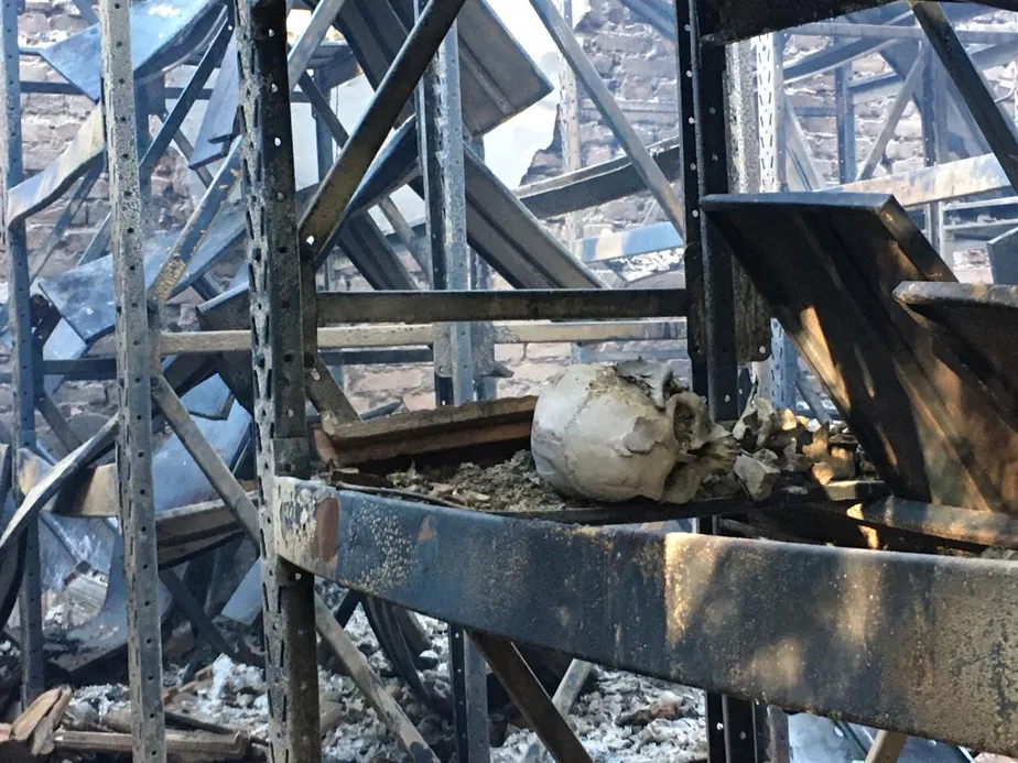 incendio-museu.webp