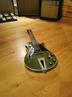 Seraph Hollowbody | springerguitars