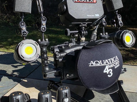 Save 40% on Light & Motion lights!