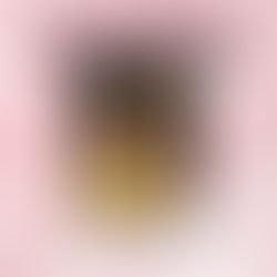 LAST CHANCE FOR VICKI SOTO 5K RACE SHIRTS!