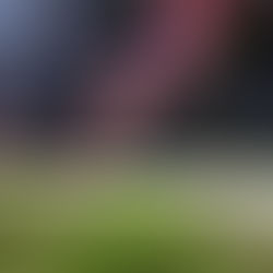 Last Call For Flocking!