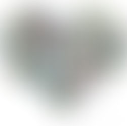 Tag Us on Instagram!