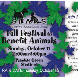 Team Vicki Soto at STARS’ Fall Festival!