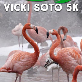 Save The Date For The Third Annual Vicki Soto 5k!