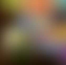 TVS Donates School Supplies with SHCC