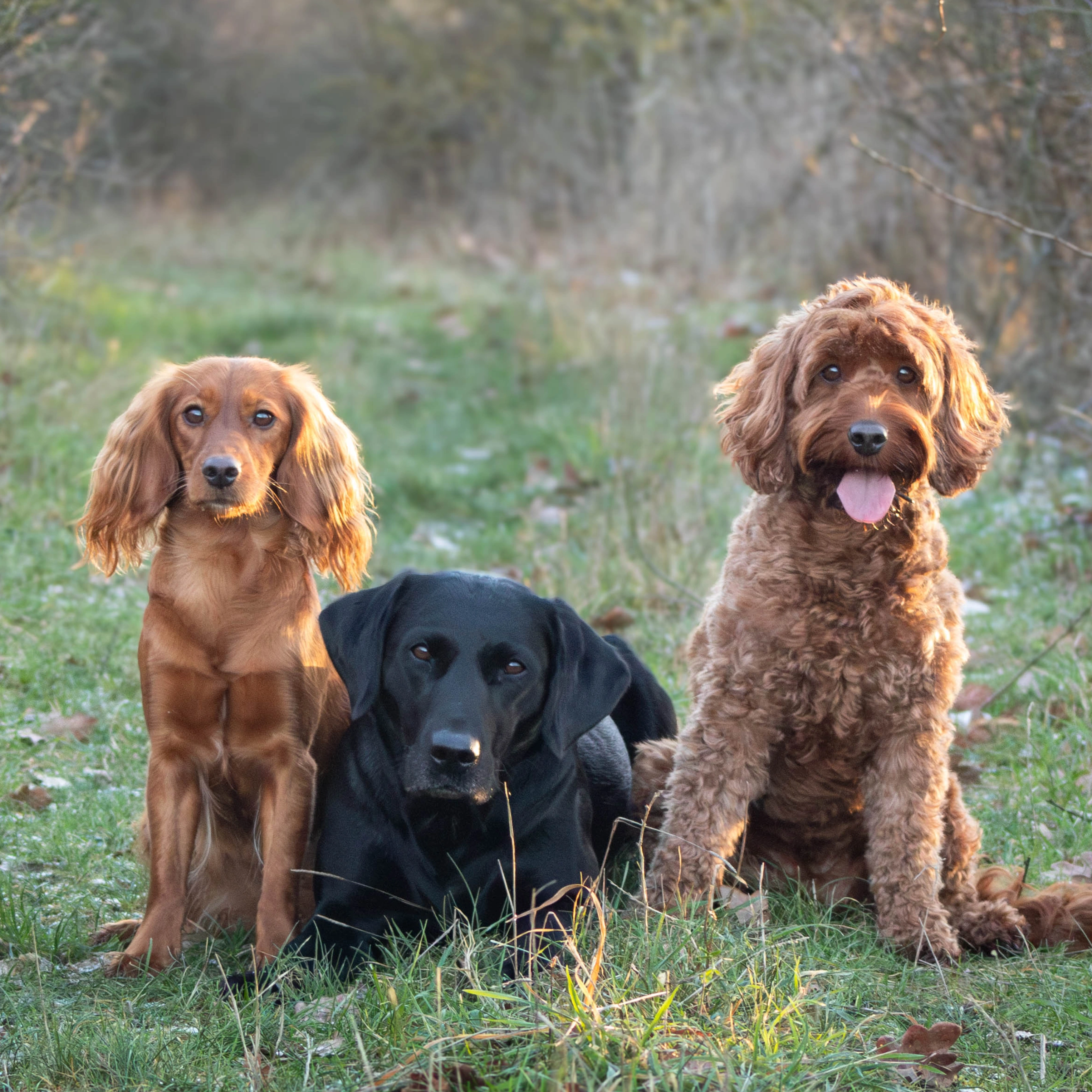 Writer: Deborah Batty