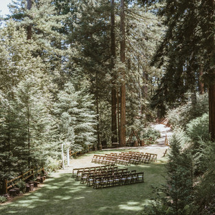 forest woodland wedding reception