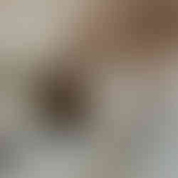 lace white wedding shoes