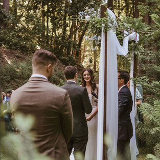 forest wedding fairty tale woods woodland redwood trees