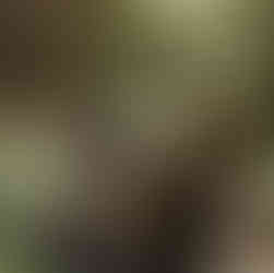 wedding reception forest