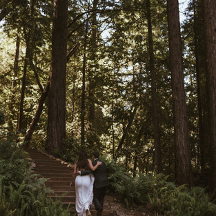 fairy tale wedding reception forest northern california