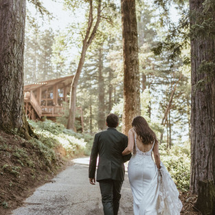 forest wedding fairy tale woods woodland redwood trees