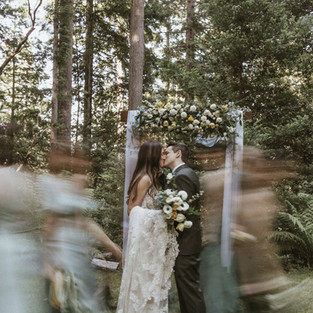 forest wedding fairty tale woods woodland redwood trees