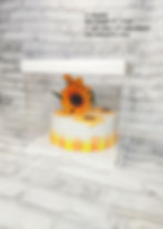Thumbnail: 14"×14" - 17" X-Tall Premium Cake Box