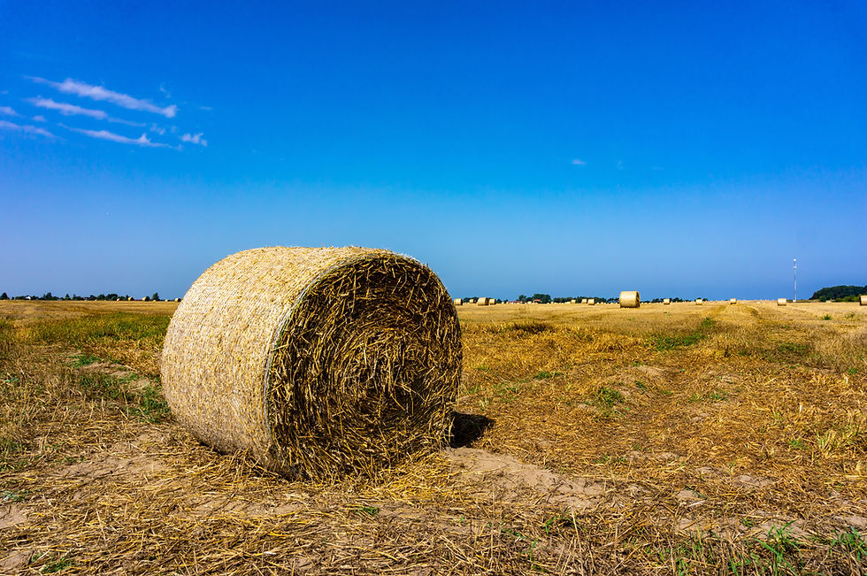 round-hay-bale-fields-with-blue-sky.jpg