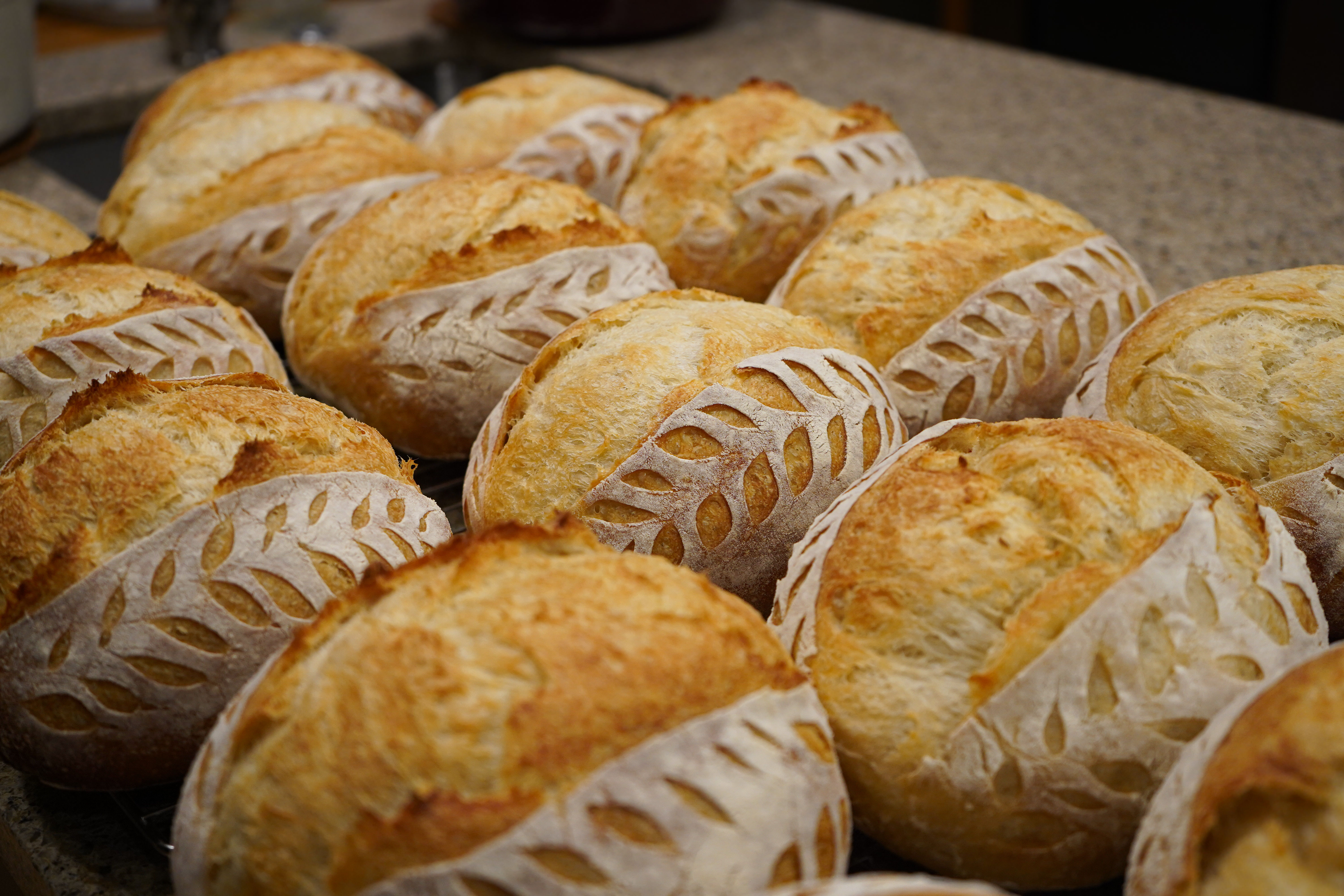 Bi-Weekly Sourdough Subscription 