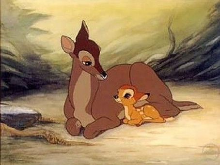 MARS 3. MISCELLANÉES. PAS FACILE D'ASSORTIR LA MAMAN DE BAMBI ET LE CAFÉ DES 3 JUMEAUX, OU BIEN L'INTERMARCHÉ DU RABODEAU AVEC "LA PAROISSIALE"; SANS PARLER DE LA FIBRE AVEC L'EAU DU ROBINET !