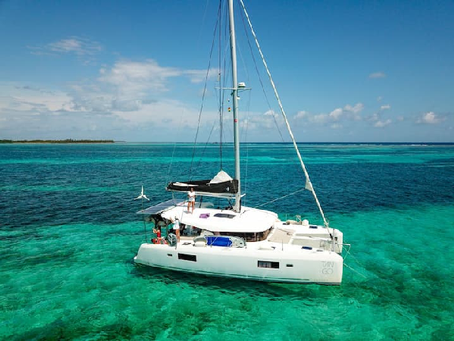 White catamaran with people aboard sailing on turquoise sea. Clear sky and distant land in the background. Mood is tranquil and adventurous.