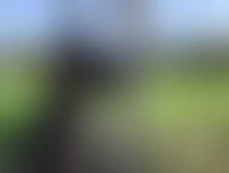 Otis | Weimaraner | South Pasadena, Ca | In-Training