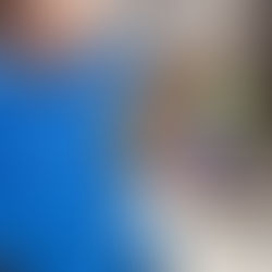 Новости 15.11.2022