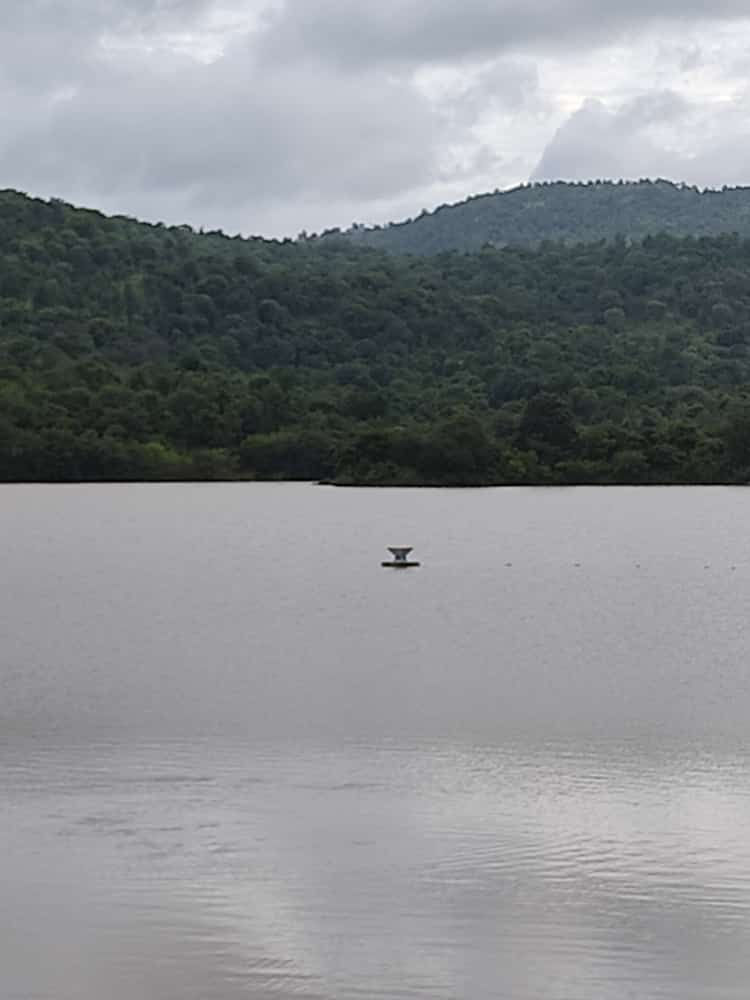 SARAS antenna floating on the lake