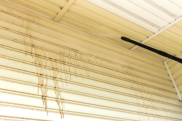 siding cleaning house washing service_edited.jpg