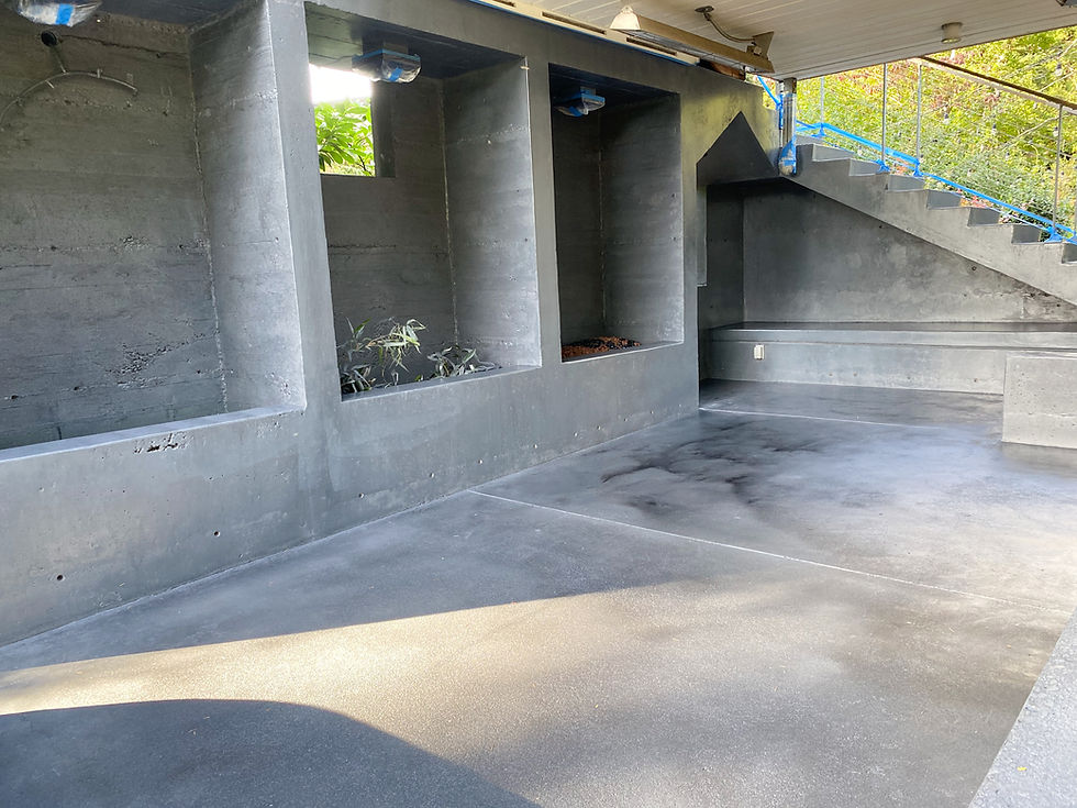 Grey Acid Stained Concrete Restoration Issaquah, WA