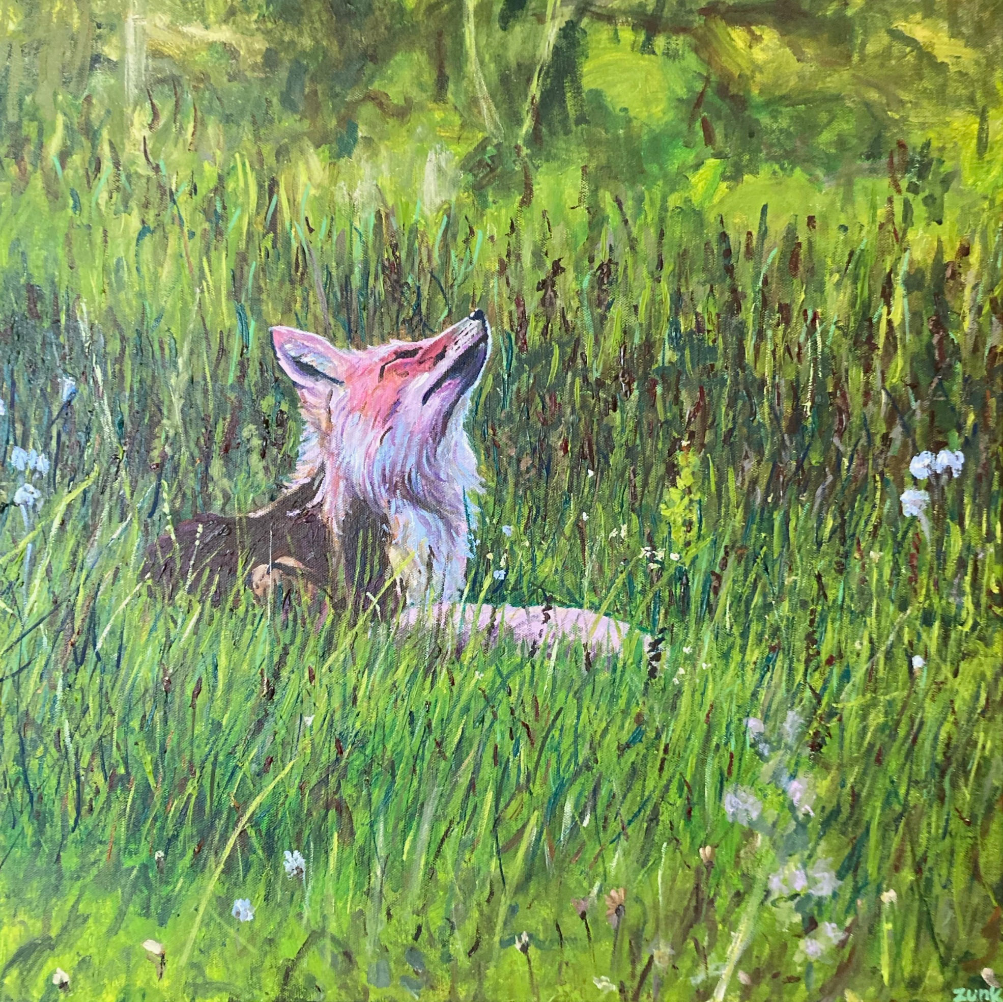 Vixen