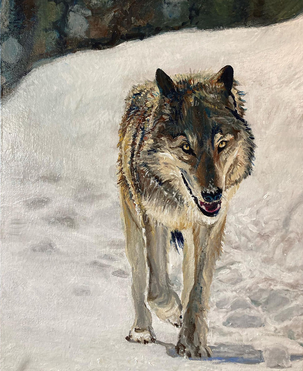 "Wolf I"