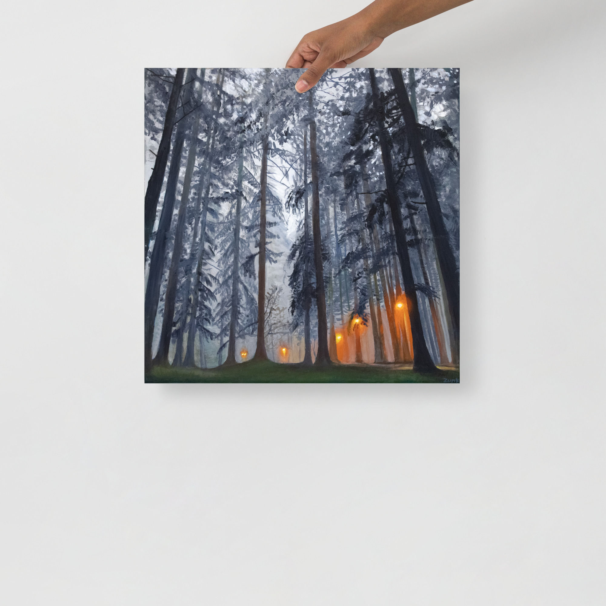 Forest Lights