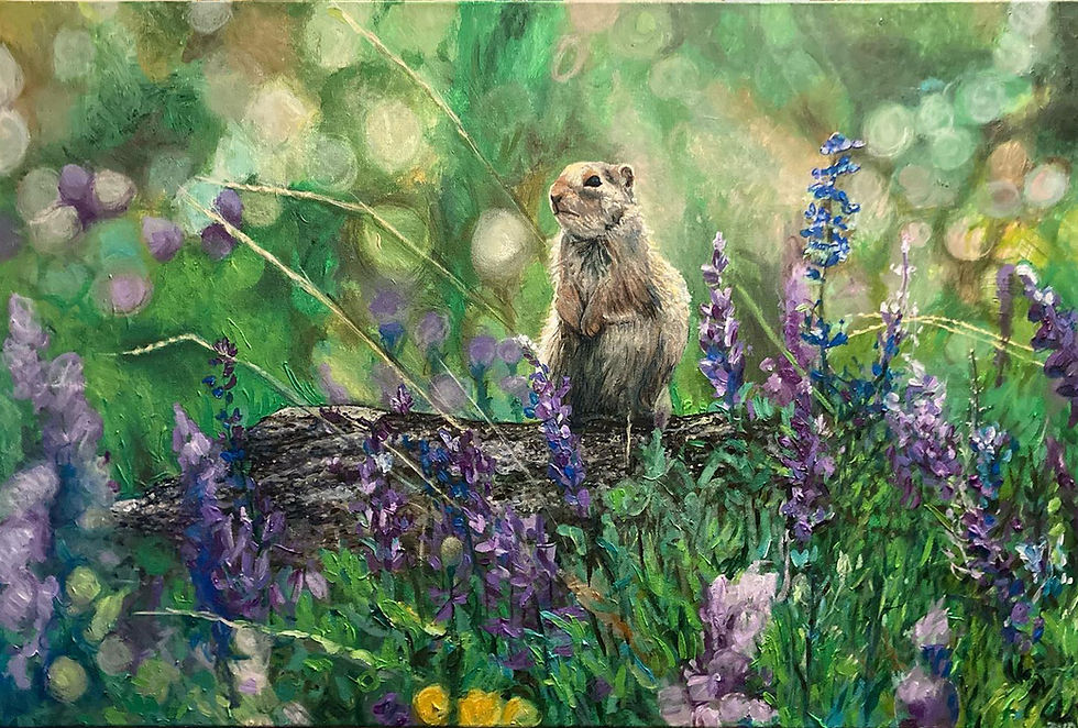 Prairie Dog