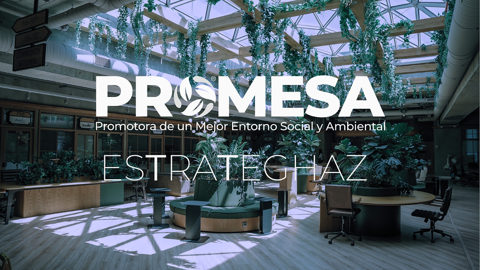 Grupo PROMESA x Estrateghaz - Fátima Arreola