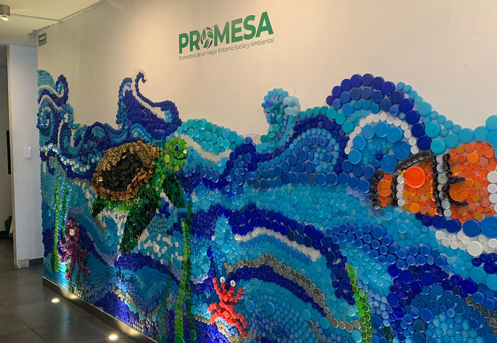 Empresa Grupo PROMESA - Fátima Arreola