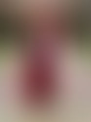 This One’s for Paramore, Fall Out Boy, and Jimmy Eat World