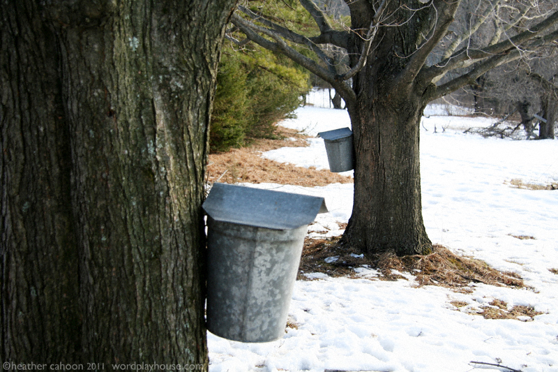 6a0148c70d7700970c014e86ebce79970d-800wi