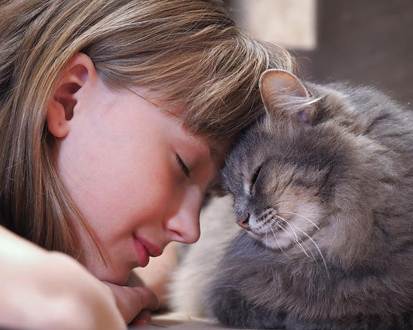 katze-ihre-nase-an-mir-reibt.jpg