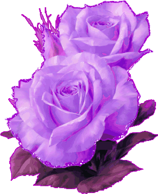 rosas_014