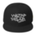 WE ZAP THE GAP Cap