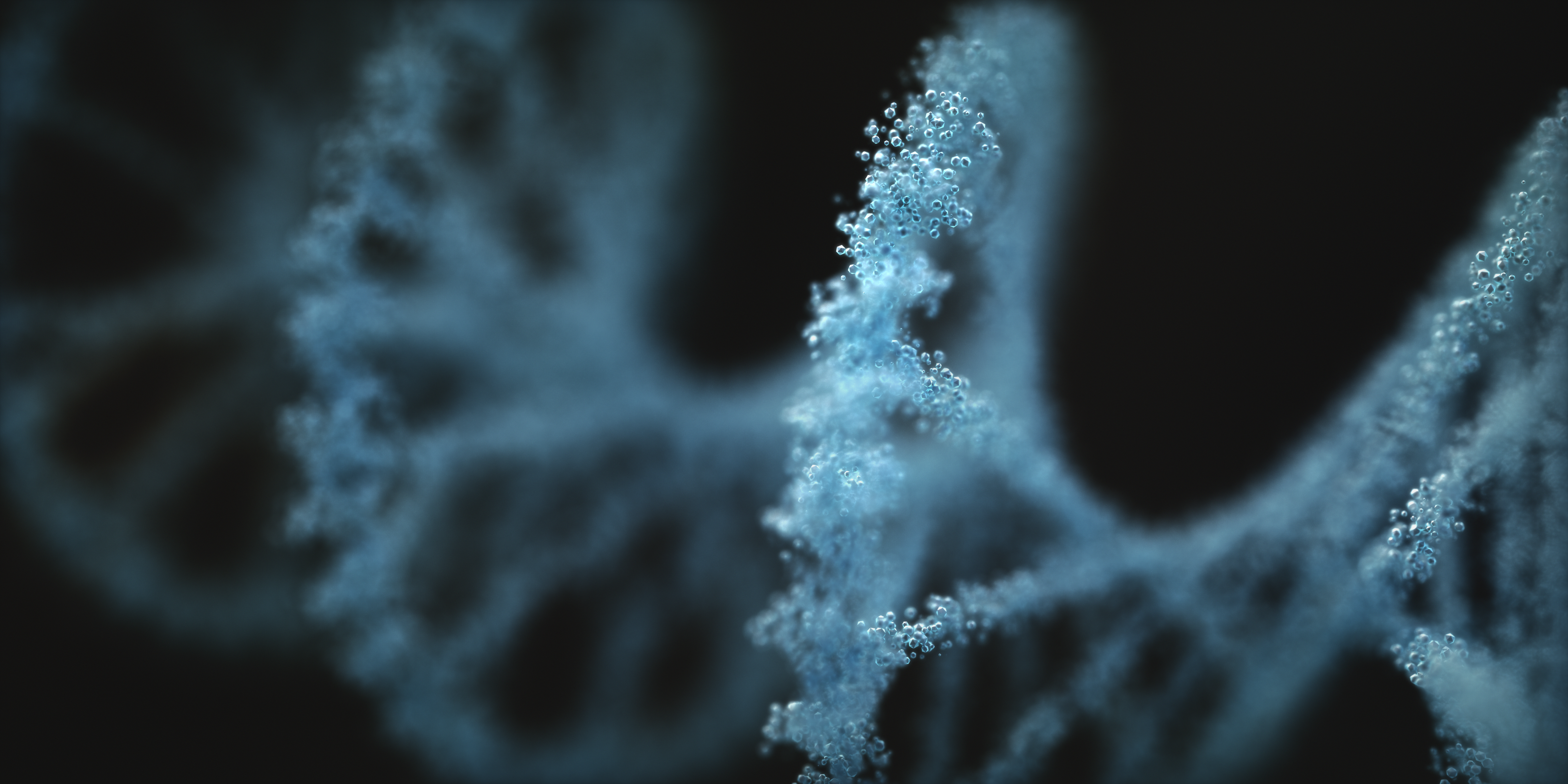 Scientific research imagery from the original Ibex website