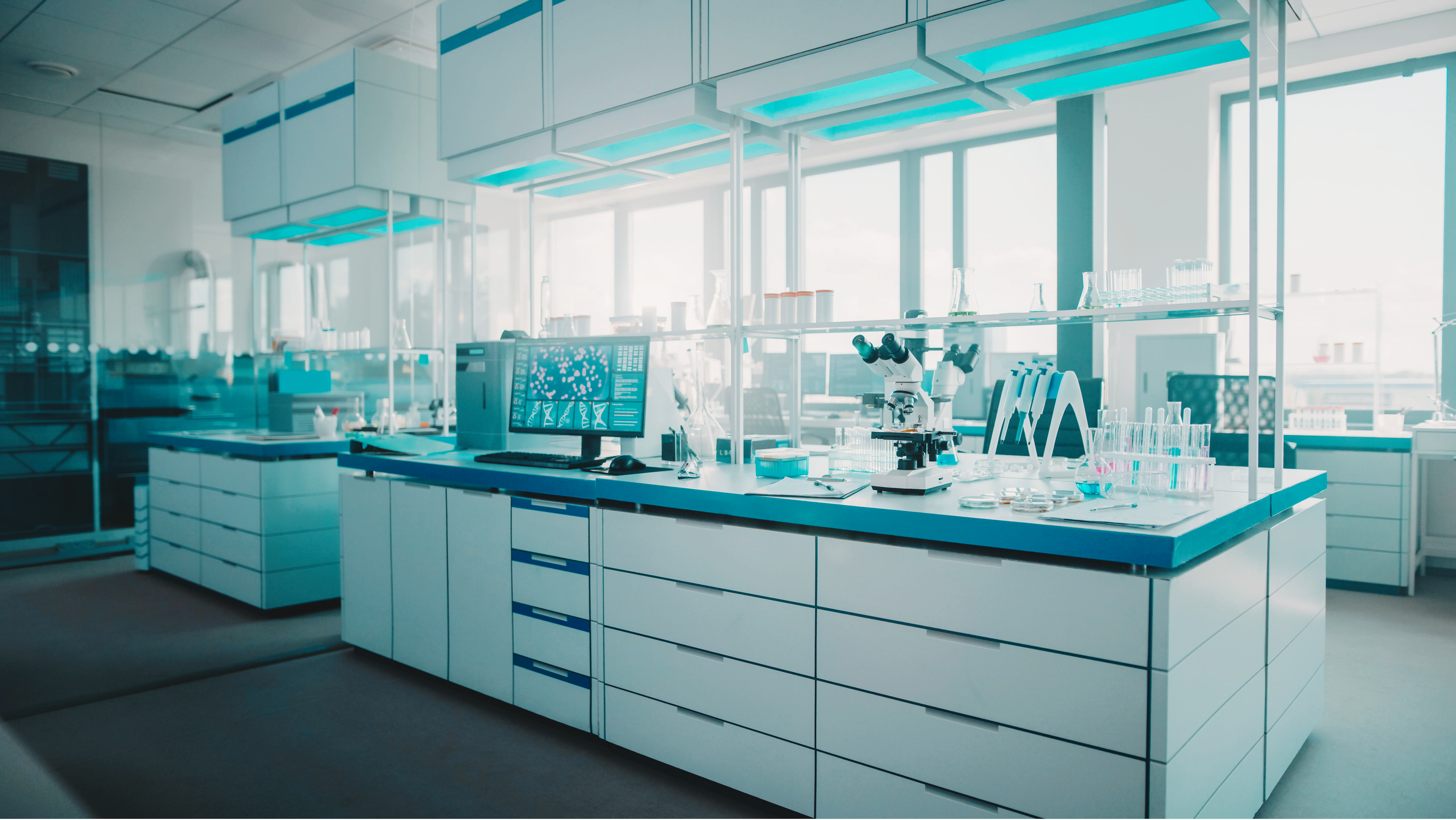 Laboratory setting from the original Ibex website