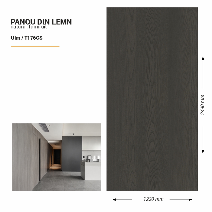 Panou din lemn furniruit, T176CS, Ulm, 2440x1220x3.8mm