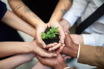 Putting the heart back into decision making