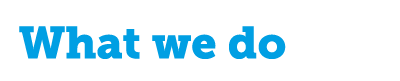 What we do
