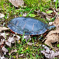 IMG_3573.jpg