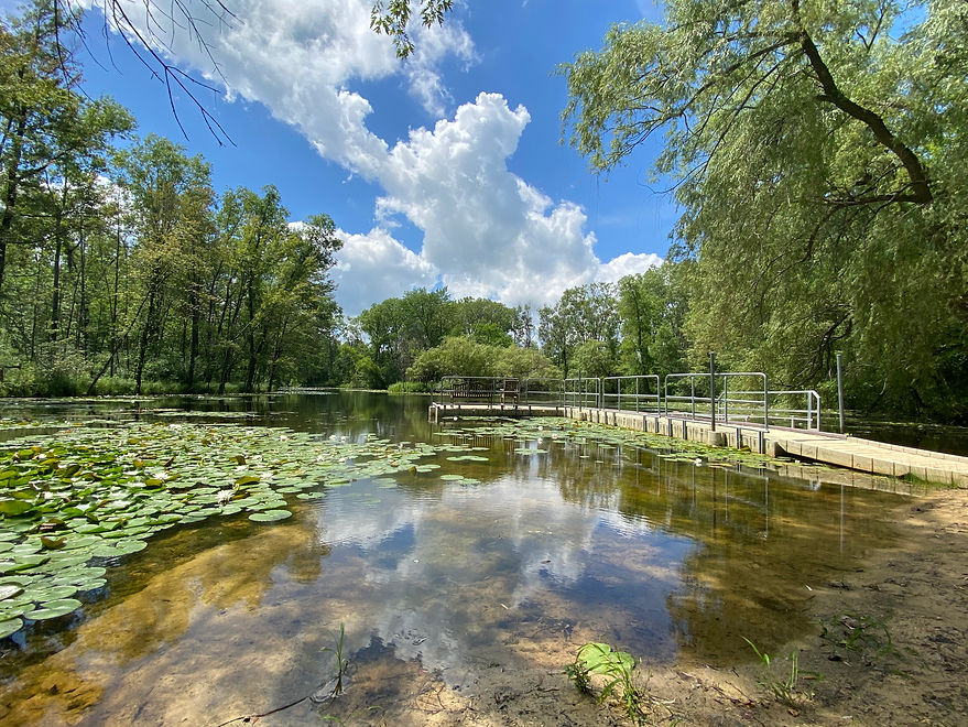 lagoon with lily pads and an ADA accessible pier